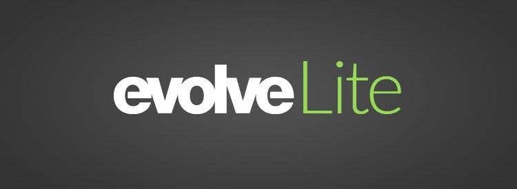 Introducting Evolve Lite Websites