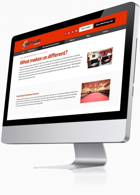 Martial Art World (Andover) - Website Design (What makes us different)